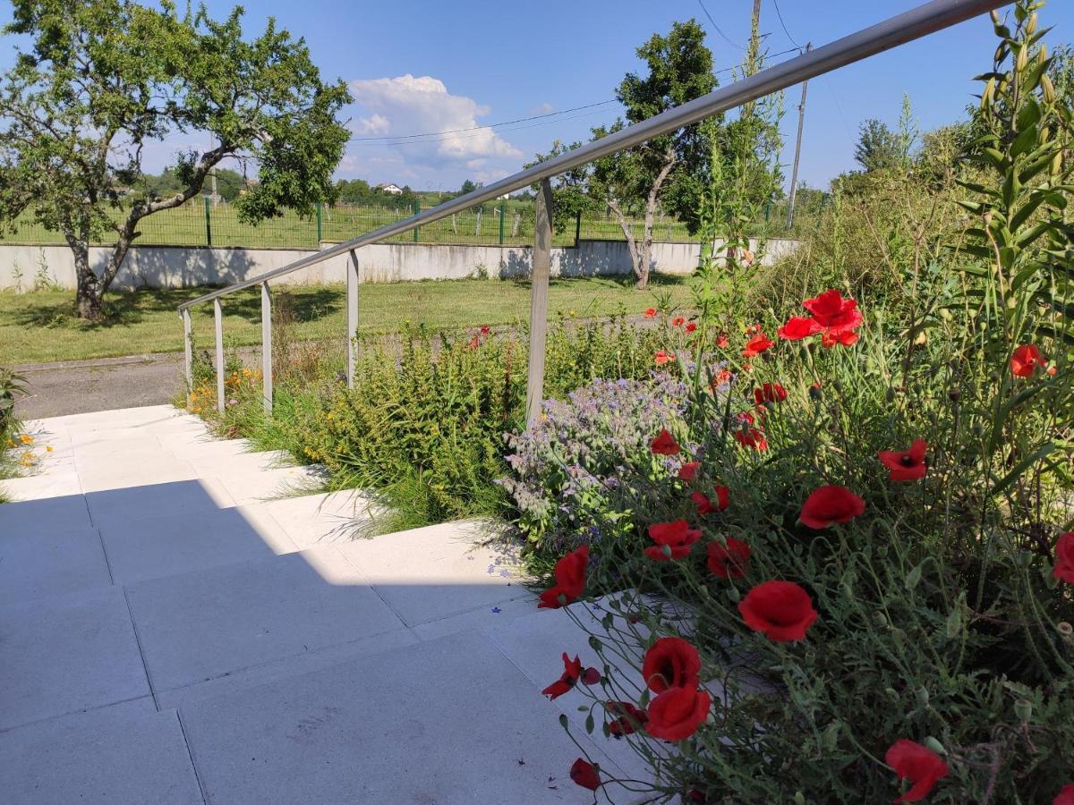Отель Domaine Des Arts Dompierre  Экстерьер фото